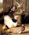 unknow artist Hen chicken and pigeon china oil painting image